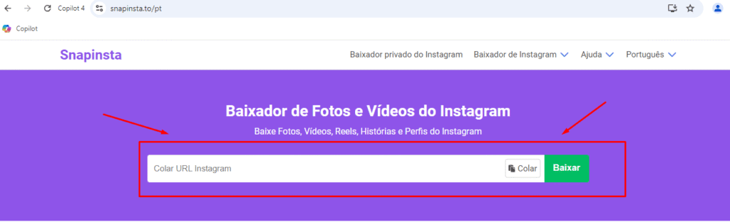 snapinsta